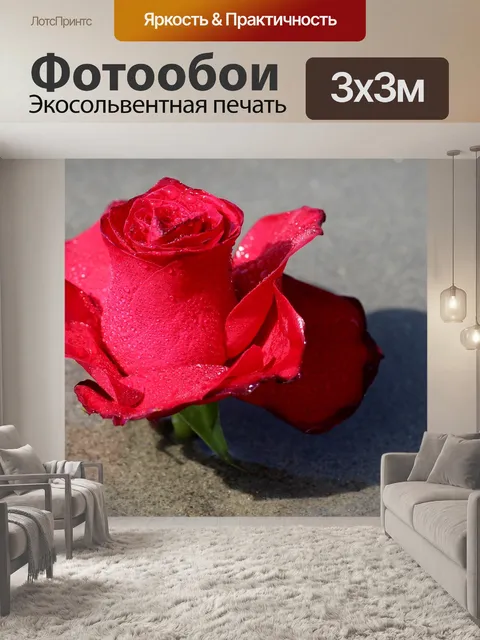 Фотообои Роза