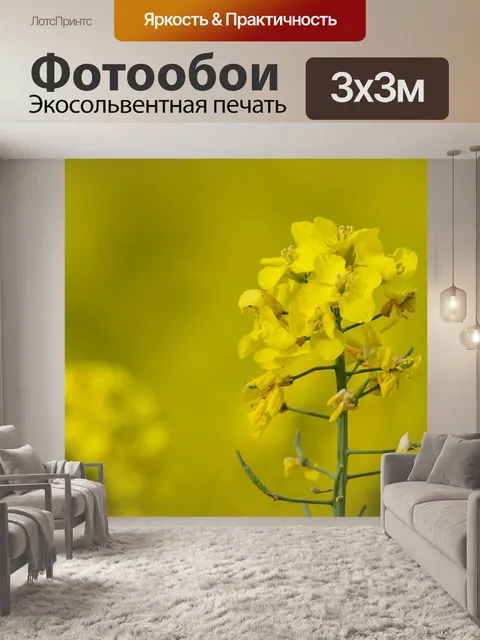 Фотообои Цветы