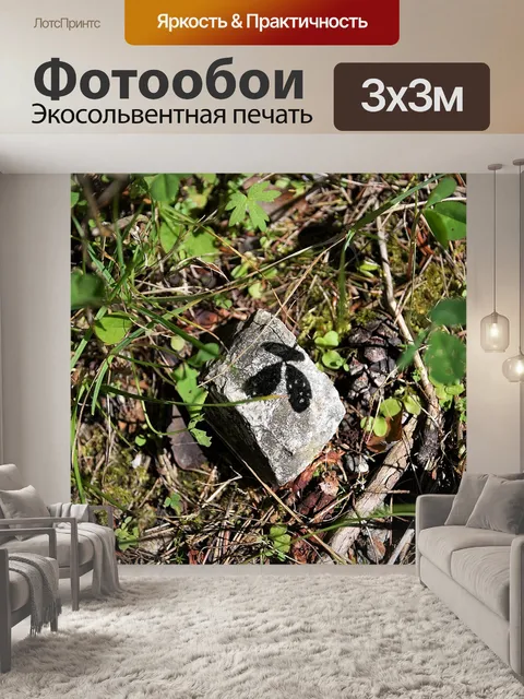 Фотообои Камень