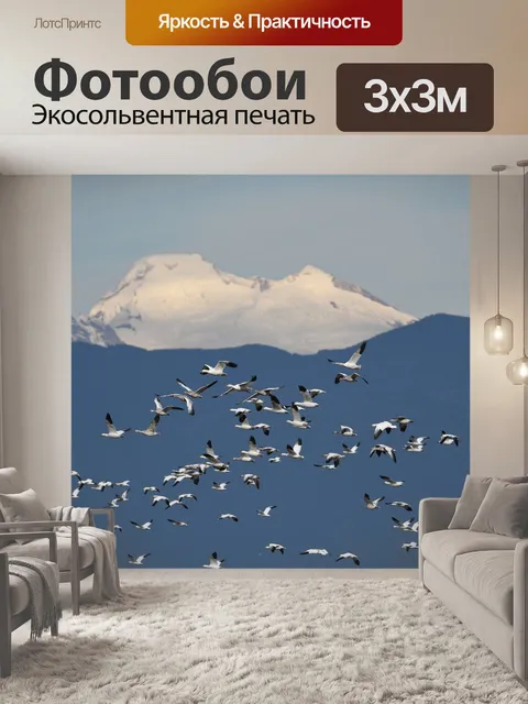Фотообои Гуси