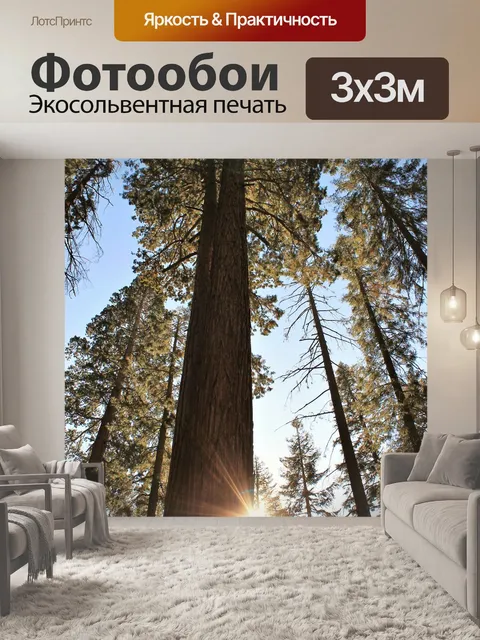 Фотообои Деревья