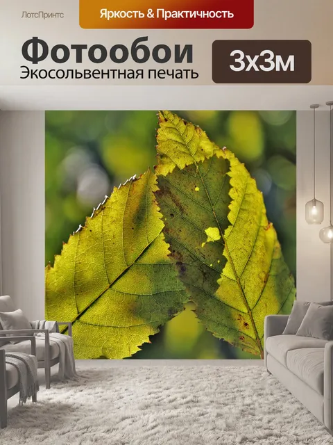 Фотообои Пара