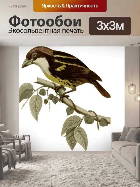 Фотообои Птица