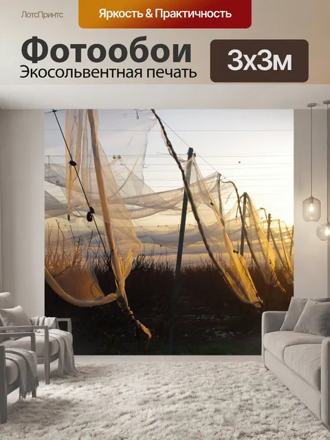Фотообои Сады сети золотой час восход солнца