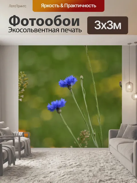 Фотообои Цветы в полях