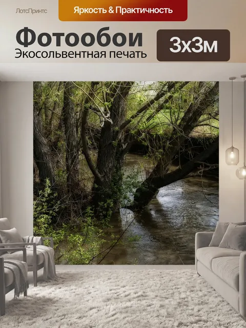 Фотообои Деревья