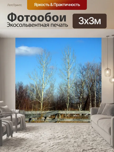 Фотообои Март небо