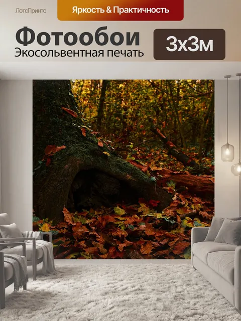 Фотообои Лес