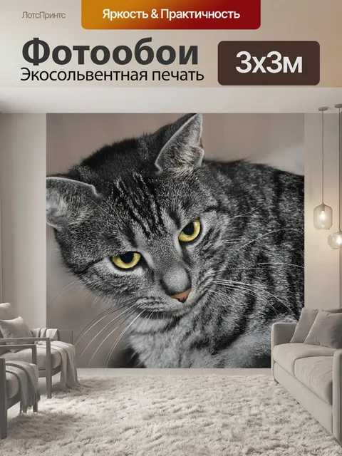 Фотообои Кошки