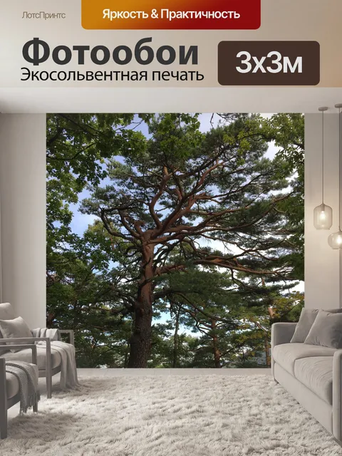 Фотообои Geumgangsong