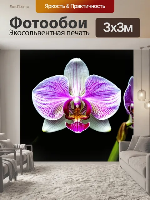 Фотообои орхидея с мягкими градиентами от белого к лавандовому