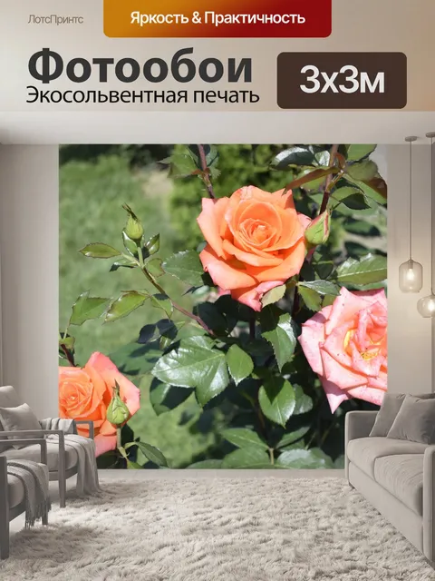 Фотообои Три розы