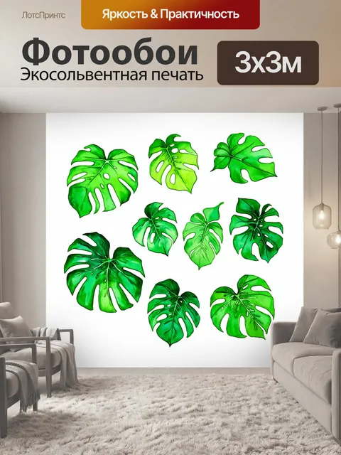 Фотообои изображение монстеры с различными стилями листьев, представляющими разные сезоны