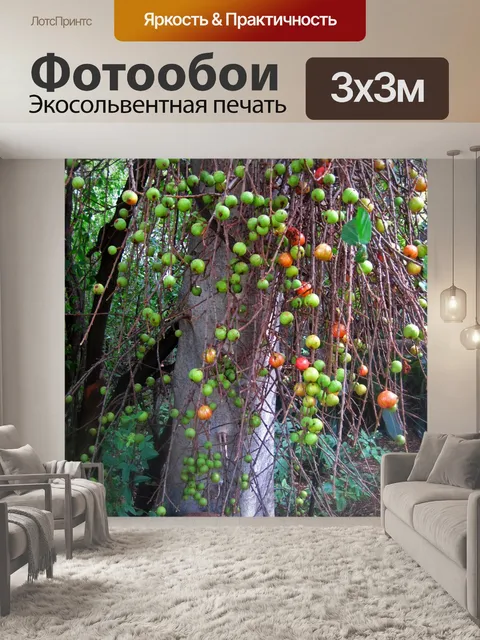 Фотообои вид диких фруктов на дереве