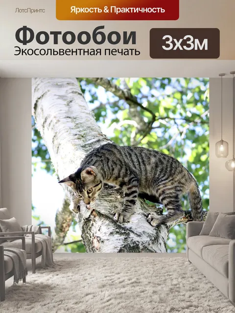 Фотообои Кошка