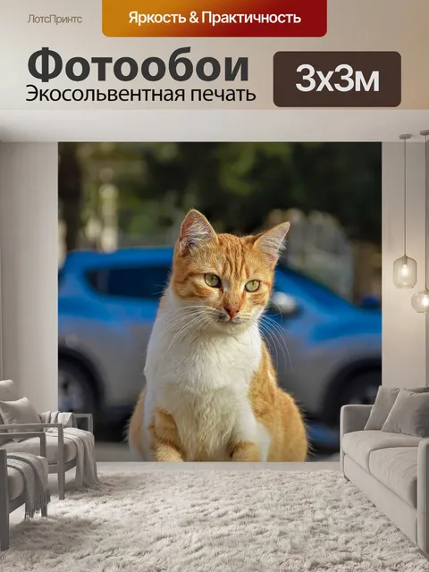 Фотообои Кошка