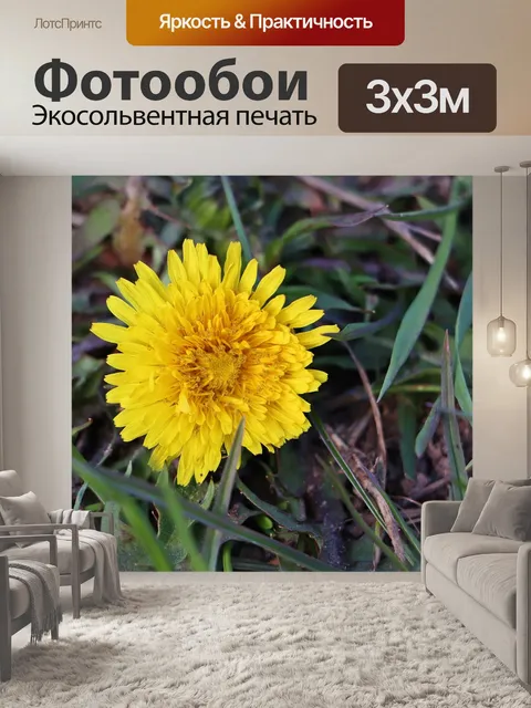 Фотообои Весна