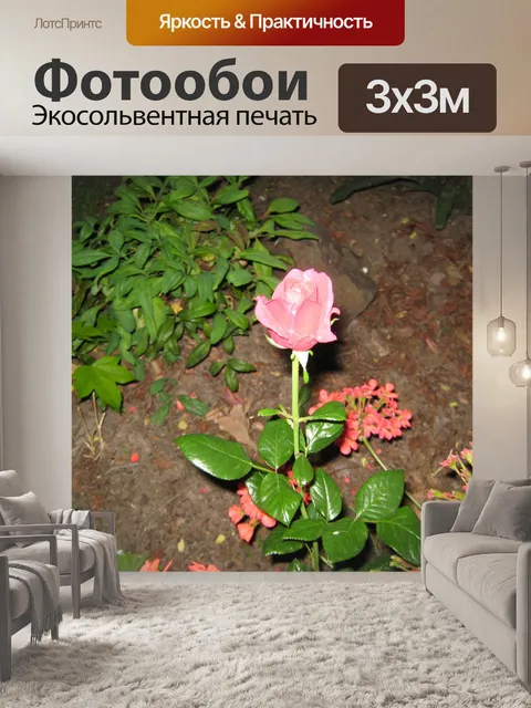 Фотообои Обновление Rosebud