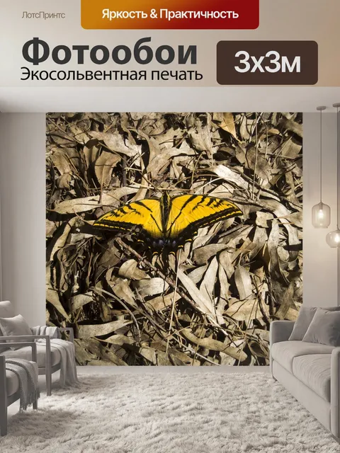 Фотообои Бабочка