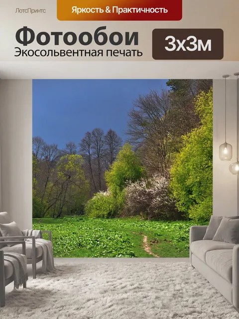 Фотообои Поляна