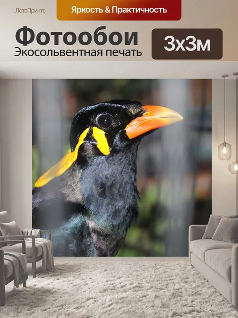 Фотообои Птица
