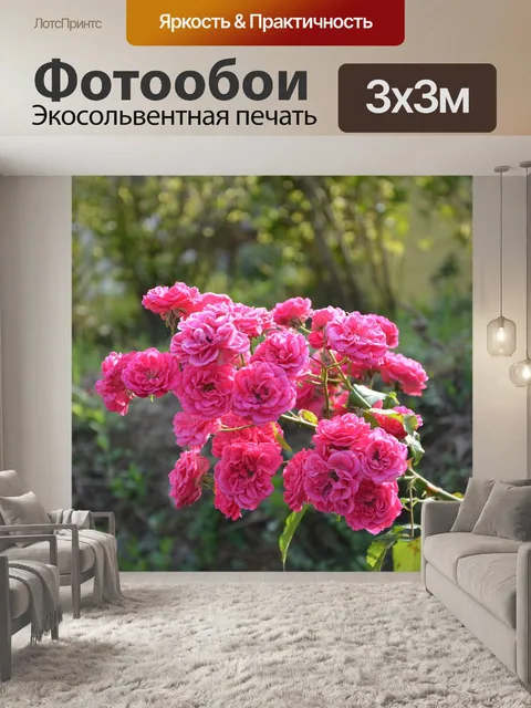 Фотообои Розы