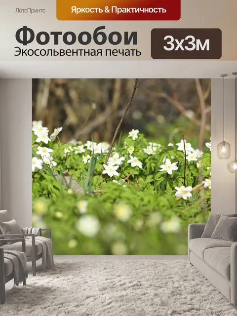Фотообои Анемоны