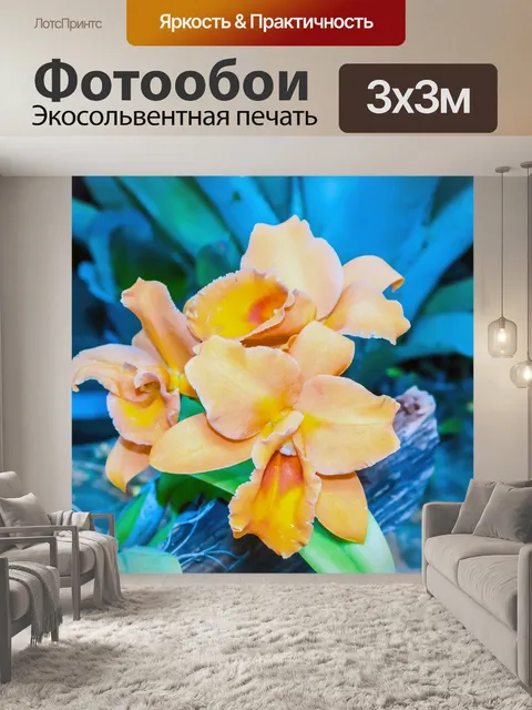 Фотообои Оранжевый орхидеи