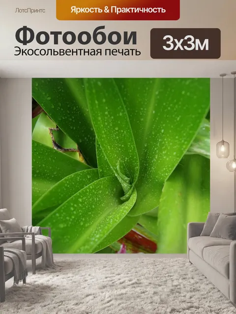 Фотообои Листья
