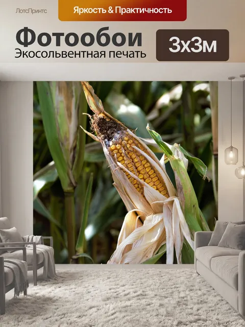 Фотообои Еда