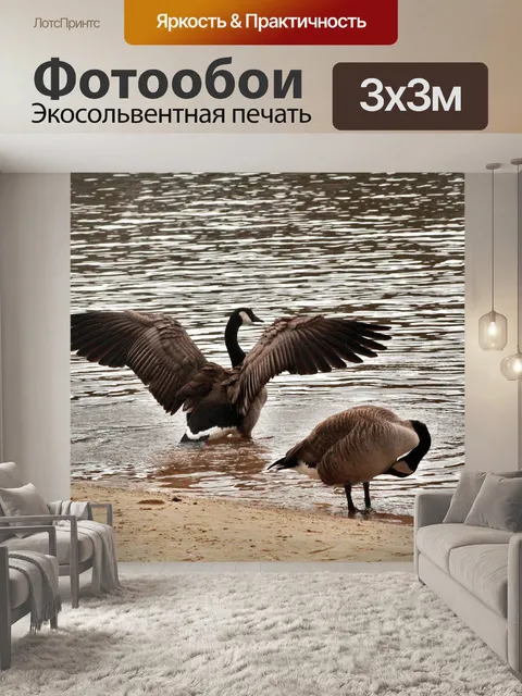 Фотообои Гуси
