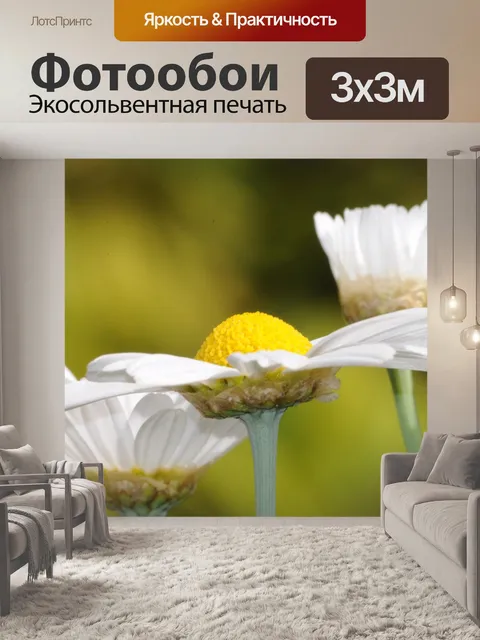 Фотообои Цветы