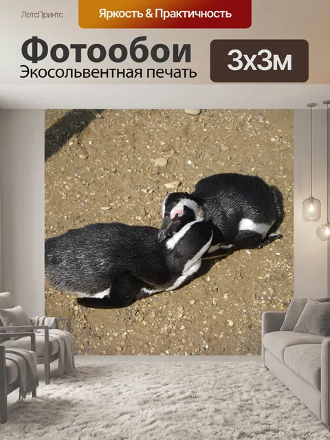 Фотообои Птицы