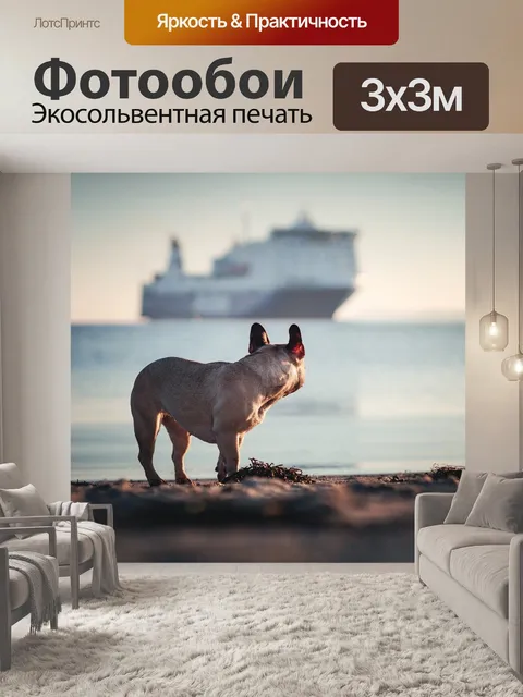 Фотообои Собака