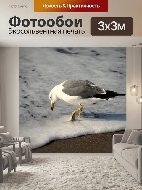 Фотообои Животное