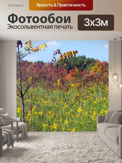 Фотообои Осеннее поле