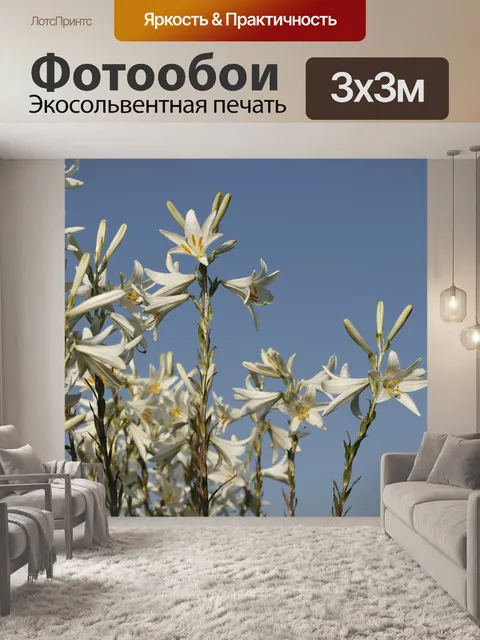 Фотообои Цветы