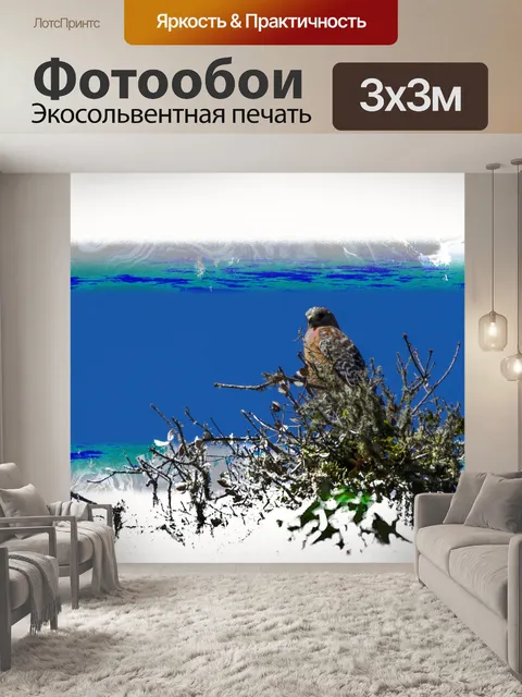Фотообои Ястреб в верхушке дерева