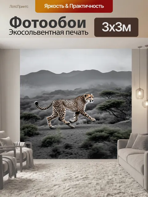 Фотообои в ранние утренние часы