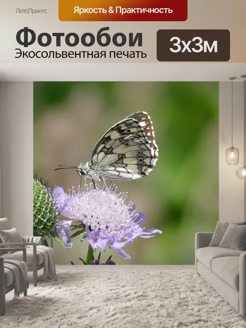 Фотообои Бабочка