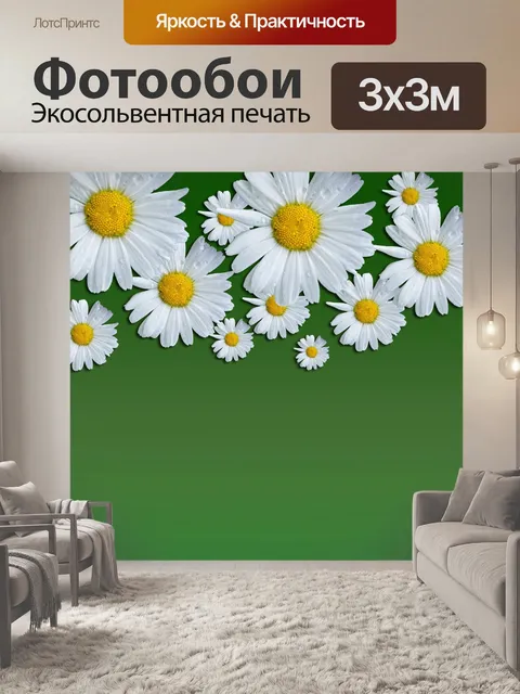 Фотообои Дейзи цветов фона