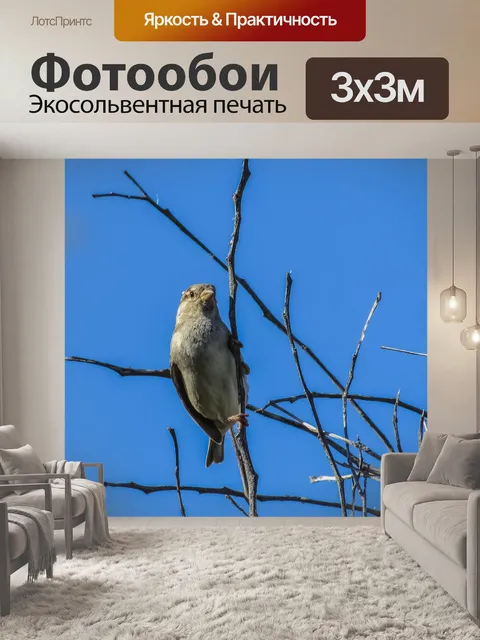 Фотообои Воробей