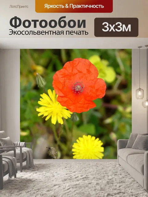 Фотообои Цветы