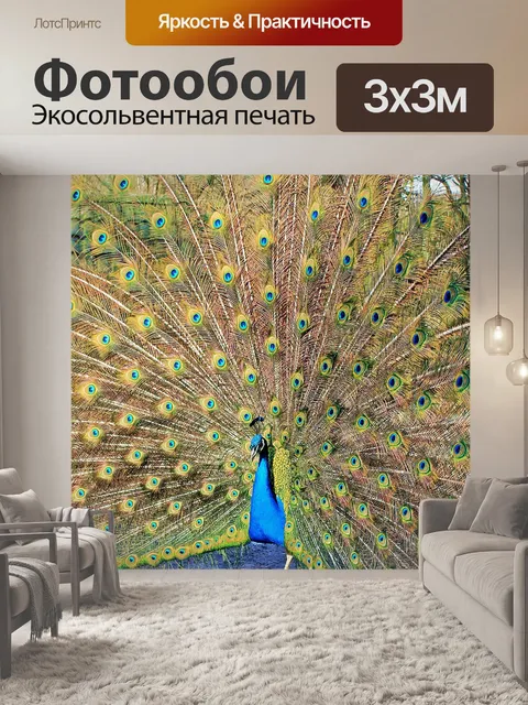 Фотообои Павлин