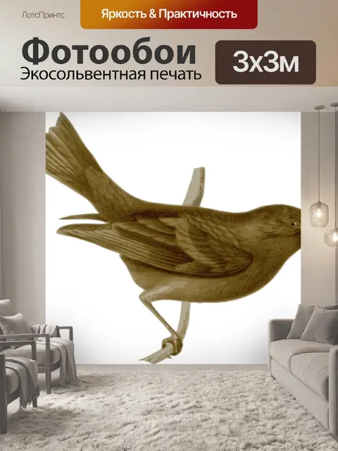 Фотообои Птица
