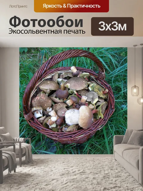 Фотообои Грибы