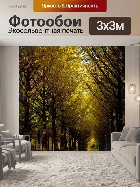 Фотообои Гинкго лес