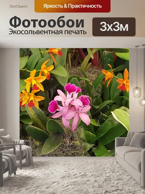 Фотообои Орхидеи