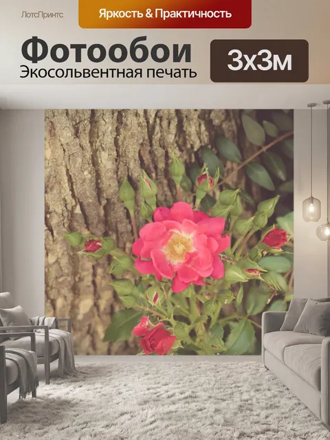 Фотообои Красный