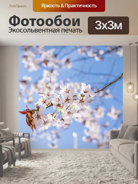 Фотообои Сакура